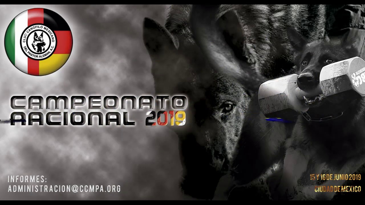 upload image Carlos Davalos & Satoris Quero C