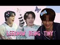 Leeknow being tiny ~ a catful compilation 
