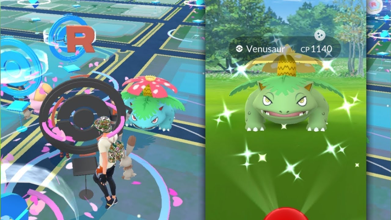 Wild Shiny Venusaur!!!