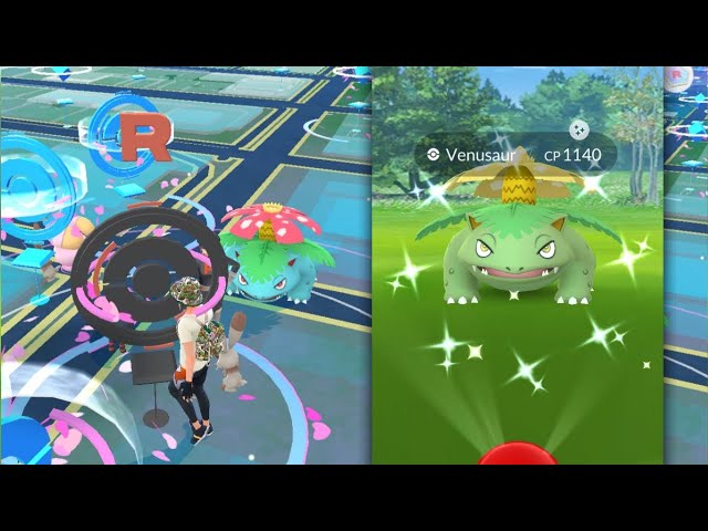 Wild Shiny Venusaur!!!