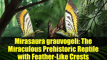 Mirasaura grauvogeli: The Miraculous Prehistoric Reptile with Feather-Like Crests