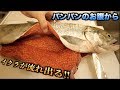 豪快！！シャケのパンパンのお腹を切ったら大量のイクラが流れ出てきた！！！