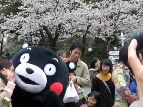 安田 女子 大学 図書館
