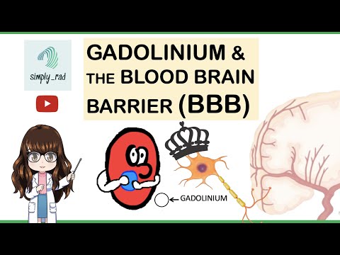 Gadolinium and the Blood Brain Barrier (MRI)