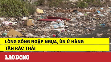 Lòng sông ngập ngụa, ùn ứ hàng tấn rác thải | Báo Lao Động