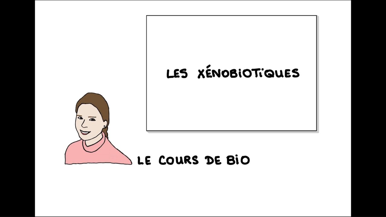 Les xénobiotiques