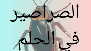 تفسير حلم الصراصير  قتل ️?الصراصير.️?الصراصير  في البيت