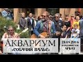 Аквариум - Собачий вальс (Live, Владивосток, 28.05.2016)