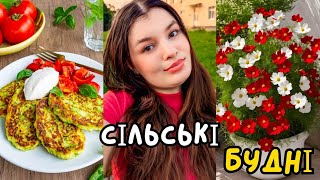 видео: Готую кабачкові оладки та сирники🥒Мотивація на готування🧑🍳Організація речей у шафі🌸Сімейний Влог ❤️ картинка: Готую кабачкові оладки та сирники🥒Мотивація на готування🧑🍳Організація речей у шафі🌸Сімейний Влог ❤️
