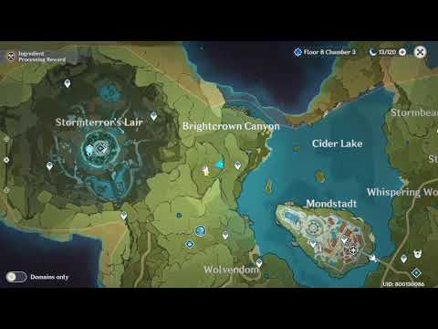 Best Place To Farm Meat & Fowl ( Boar & Bird Spawn ) | Genshin Impact