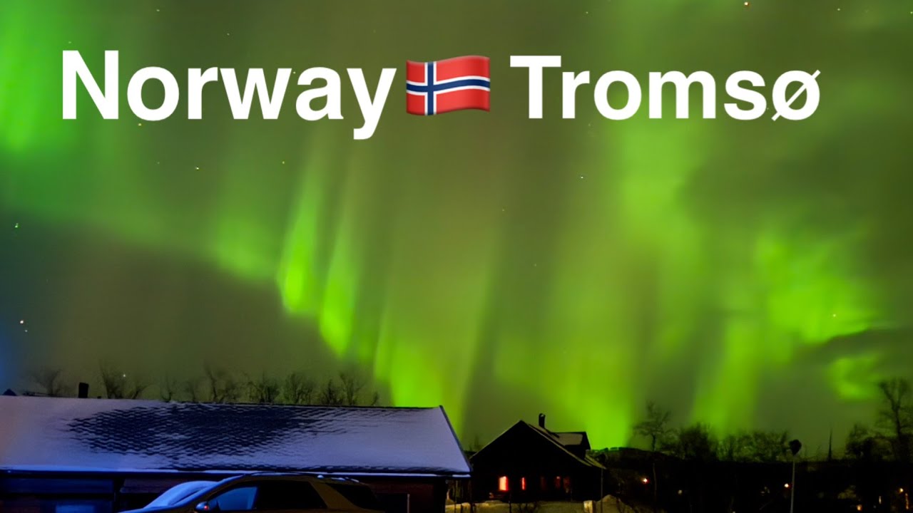 ノルウェーのトロムソ旅🇳🇴🦌⛄️