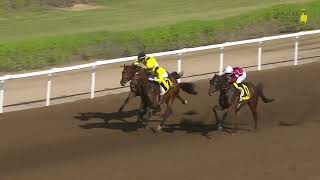 Vidéo de la course PMU COMMERCIAL BANK OF DUBAI STAKES