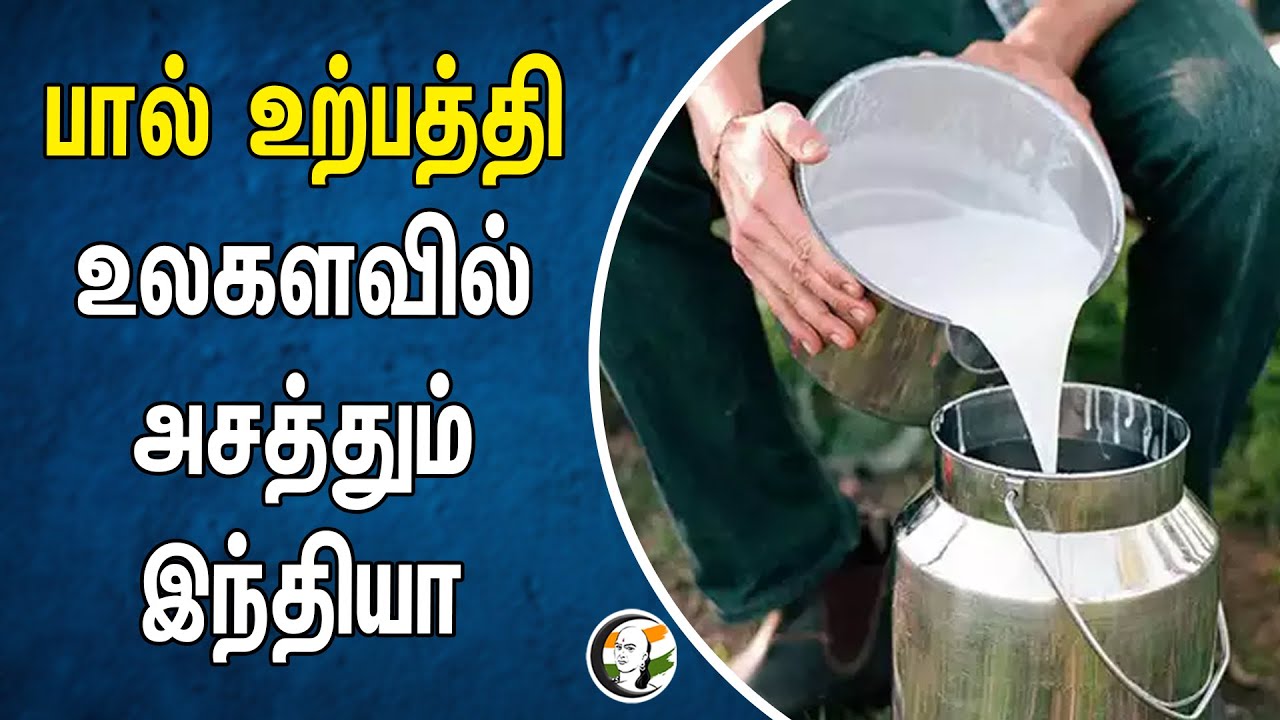 பால் உற்பத்தி.. உலகளவில் அசத்தும் இந்தியா | Milk Production | Tamilnadu | India