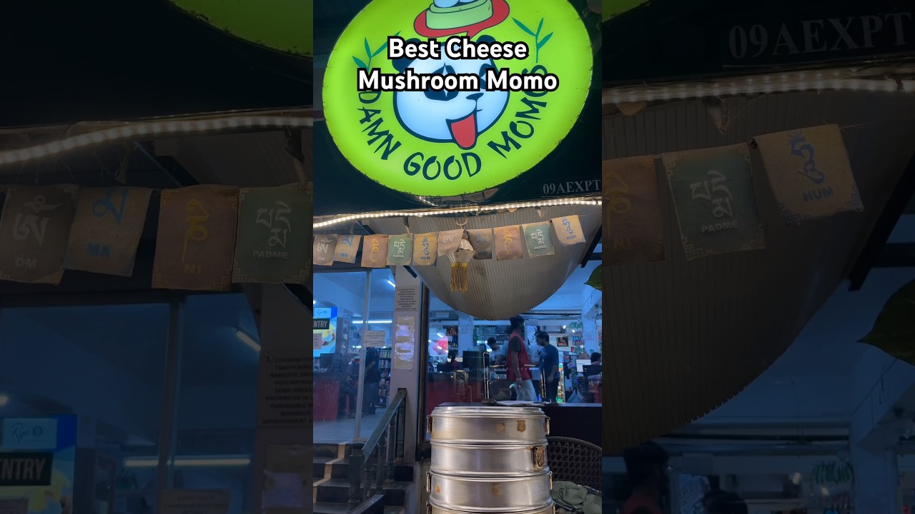 Best cheese Mushroom Momo in Goa! 
