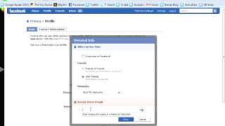 Details Adjusting your Privacy Settings on Facebook Guide