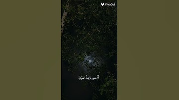 {كل نفس ذائقة الموت ثم إلينا ترجعون} تلاوة سورة العنكبوت بصوت القارئ عبدالرحمن مسعد