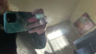 Michael Dolan Custom Double P-Bass : A closer look