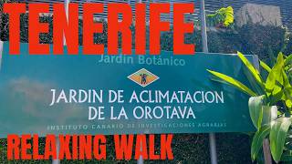 Tenerife Botanical Garden Walk 2025 | Relaxing Nature Ambient Music (Puerto de la Cruz)