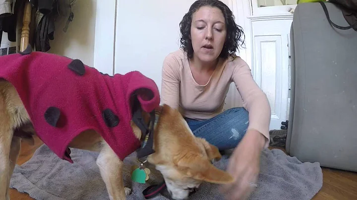 Muzzle Up! Video Training Series: Troubleshooting