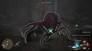 Hogwarts Legacy - Ancient Magic Hotspot: Spider Lair Combat and Kneazle Den In Brocburrow Gameplay