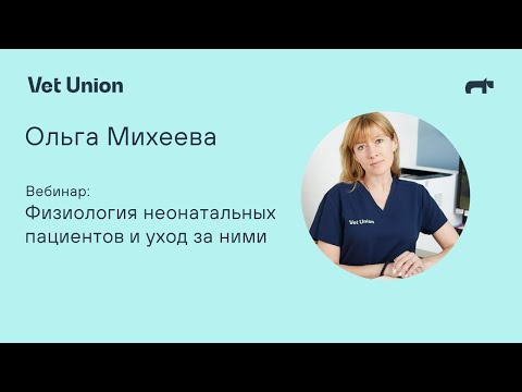 Видео: Как да контролираме волята за дефекация в смущаващи ситуации