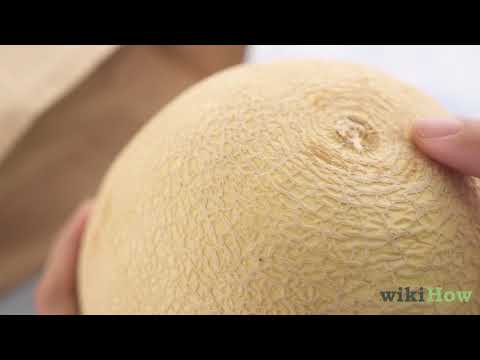 Video: Vil cantaloupe modnes af vinstokken?