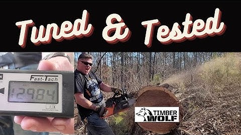 Tuned and Tested Echo 590 muffler and carb mod