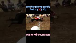 एक तुफानी फेरा 🔥 flash boy ❌jr. Vip🔥#dog_race #track race Maharashtra#newtrend #viralshort
