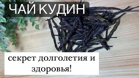 Чай Кудин- секрет долголетия и здоровья!