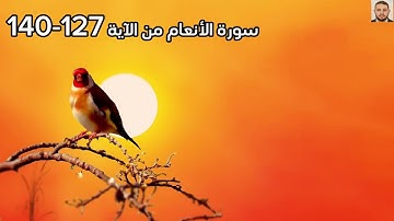 سورة الأنعام من الآية 127-140