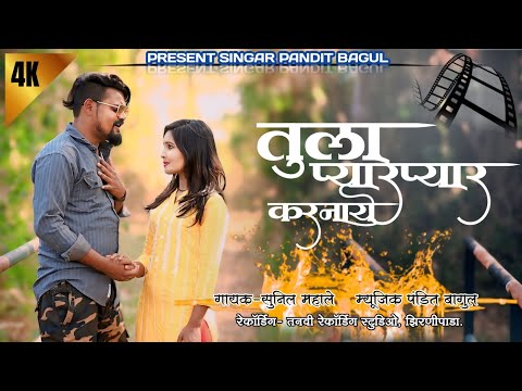 तुला प्यार प्यार प्यार करनाये #Tula_pyar_pyar_pyar_karanaye 2024 New songs