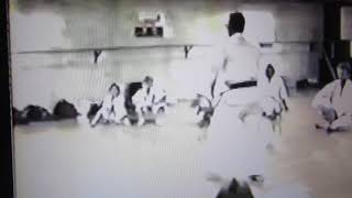 Seisan kata Isshin-ryū karate karate performed soft, fluid 法柔  2 screenshot 1