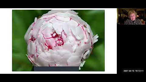 Virtual - Garden Tour with Janet Erickson and Ashl...