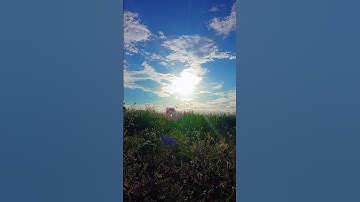 الورد اليومي «القرآن الكريم »