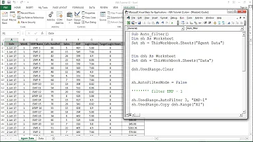 VBA Tutorial 11:  Auto filter in Excel VBA