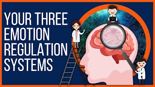 The Three Emotion Regulation Systems In Compassion Focused Therapy