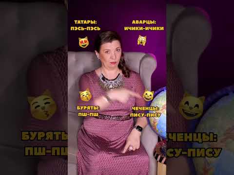 Кис-кис, пэсь-пэсь, ичики-ичики: на что отзываются коты народов России?