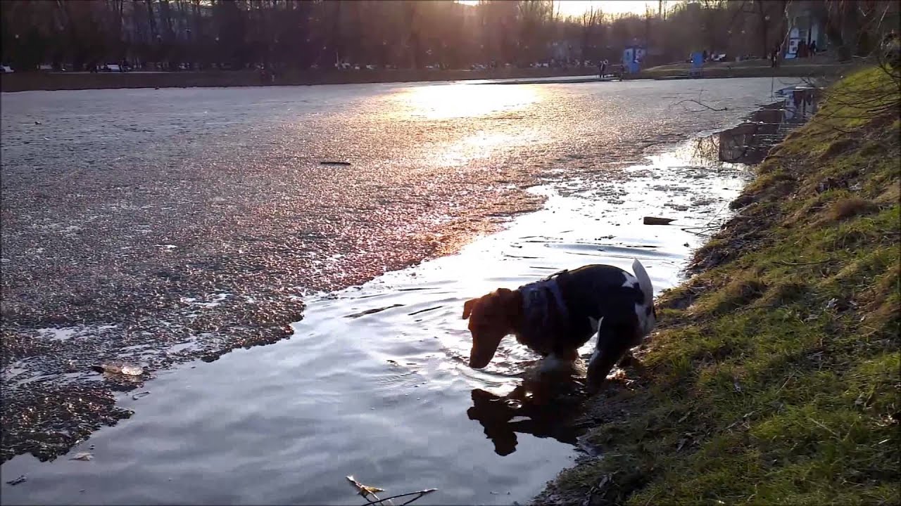 Walking On Thin Ice YouTube