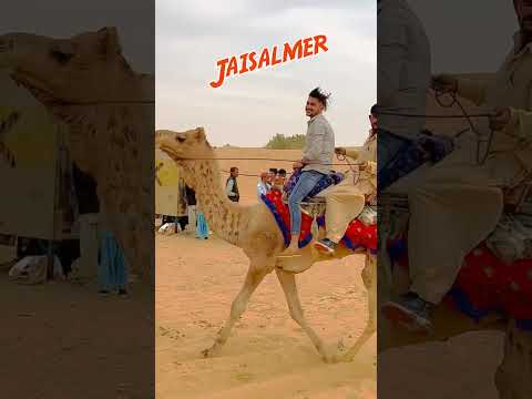 Video: Velbloudí safari v Jaisalmer a Bikaner: Co vědět