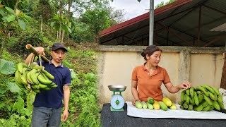 Harvesting cucumbers and going to the market to sell - Enjoy the meal cooked by Mr. Ha - Ly Mui Nai