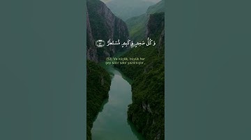 ايات بينات من الذكر الحكيم | حالات واتس اب دينية قصيرة قران كريم تلاوة خاشعة ومؤثرة بصوت جميل جدا