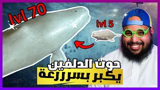 حياة حوت صغير ( يشبه الدلفين )  | Feed And Grow