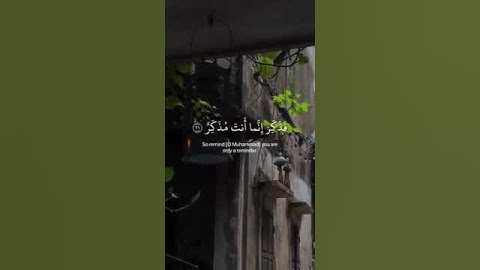 {أفلا ينظرون إلى الأبل كيف خلقت}سورة الغاشية،عبد الرحمن مسعد#أرح_قلبك #قران_كريم