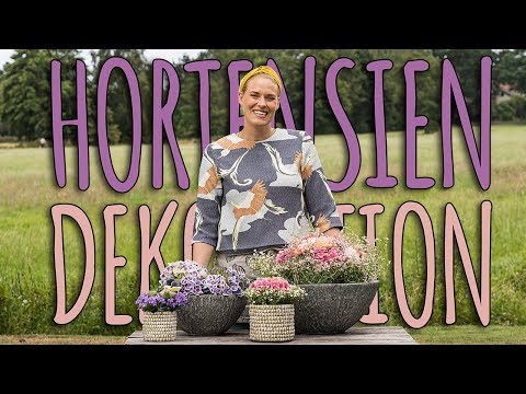 Video: Wie Man Hortensien In Einem Strauß Kombiniert