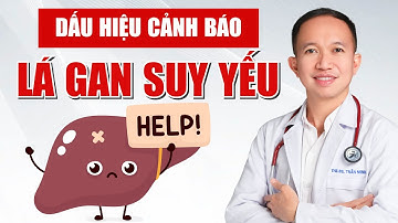 4 dấu hiệu cảnh báo LÁ GAN SUY YẾU cần đi khám ngay | Bác Sĩ Trần Minh