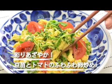 豆苗とトマトのふわふわ卵炒め Youtube 豆苗とトマトのふわふわ卵炒め Youtube