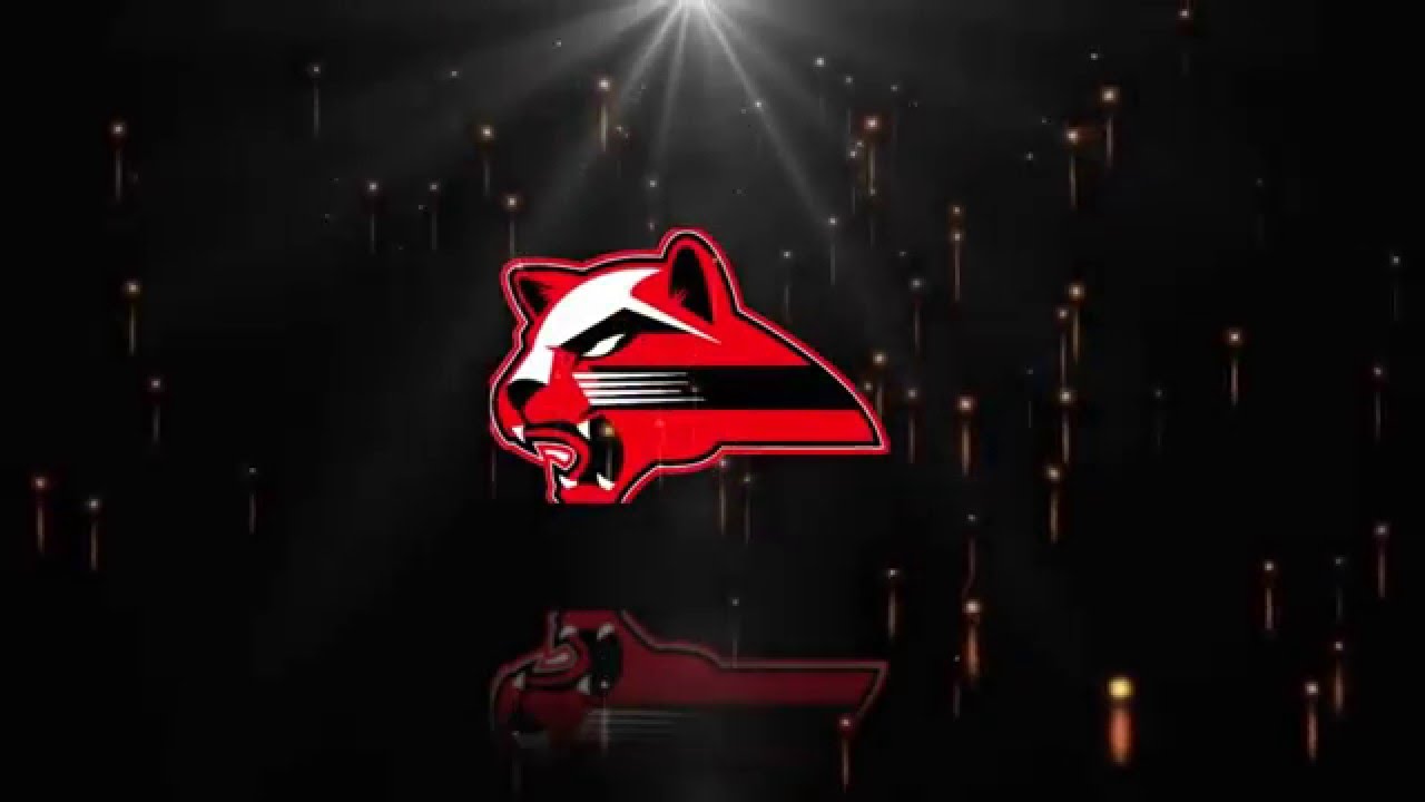 Puma Baseball Club Workout YouTube