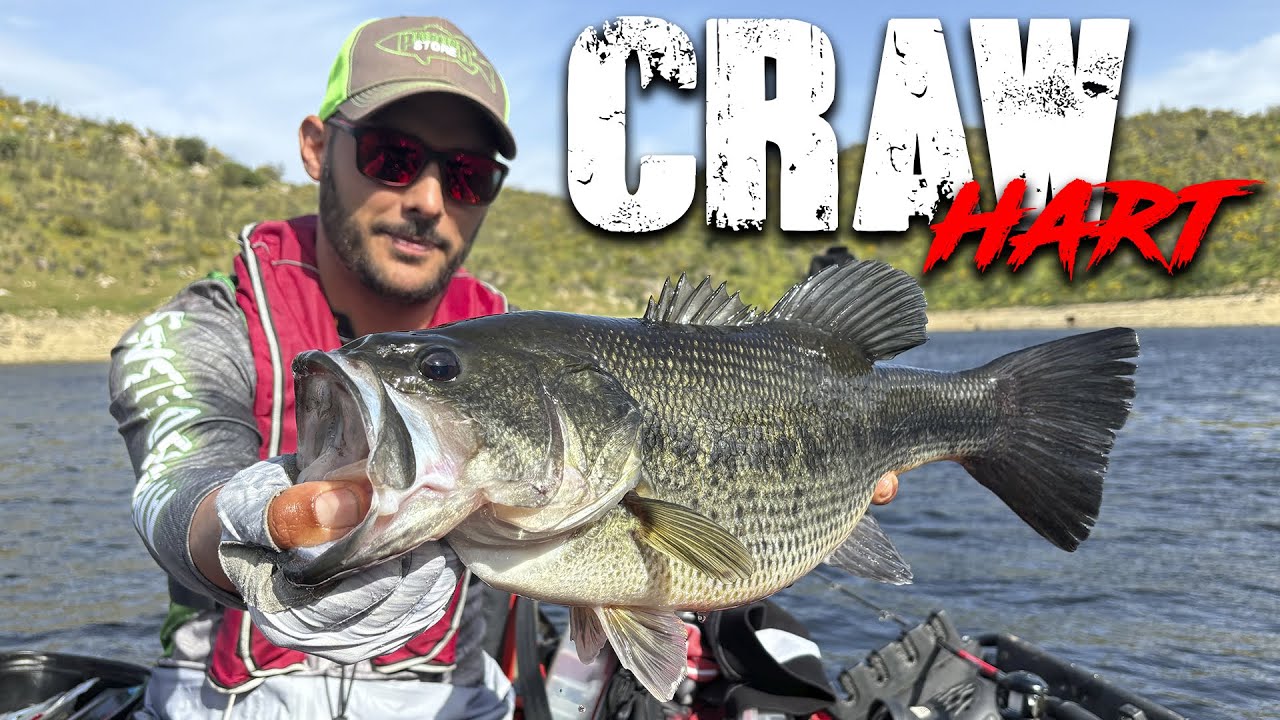LOCALIZAMOS los BASSES GORDOS | Pescando con JIGS + Craw Prototipo