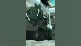 Vlog 06 | Unboxing EXO album Exist 😍