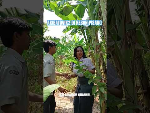 AKIBAT WIK DI KEBUN KOSONG FILM PENDEK  #filmkomedi #filmpendek #xxl